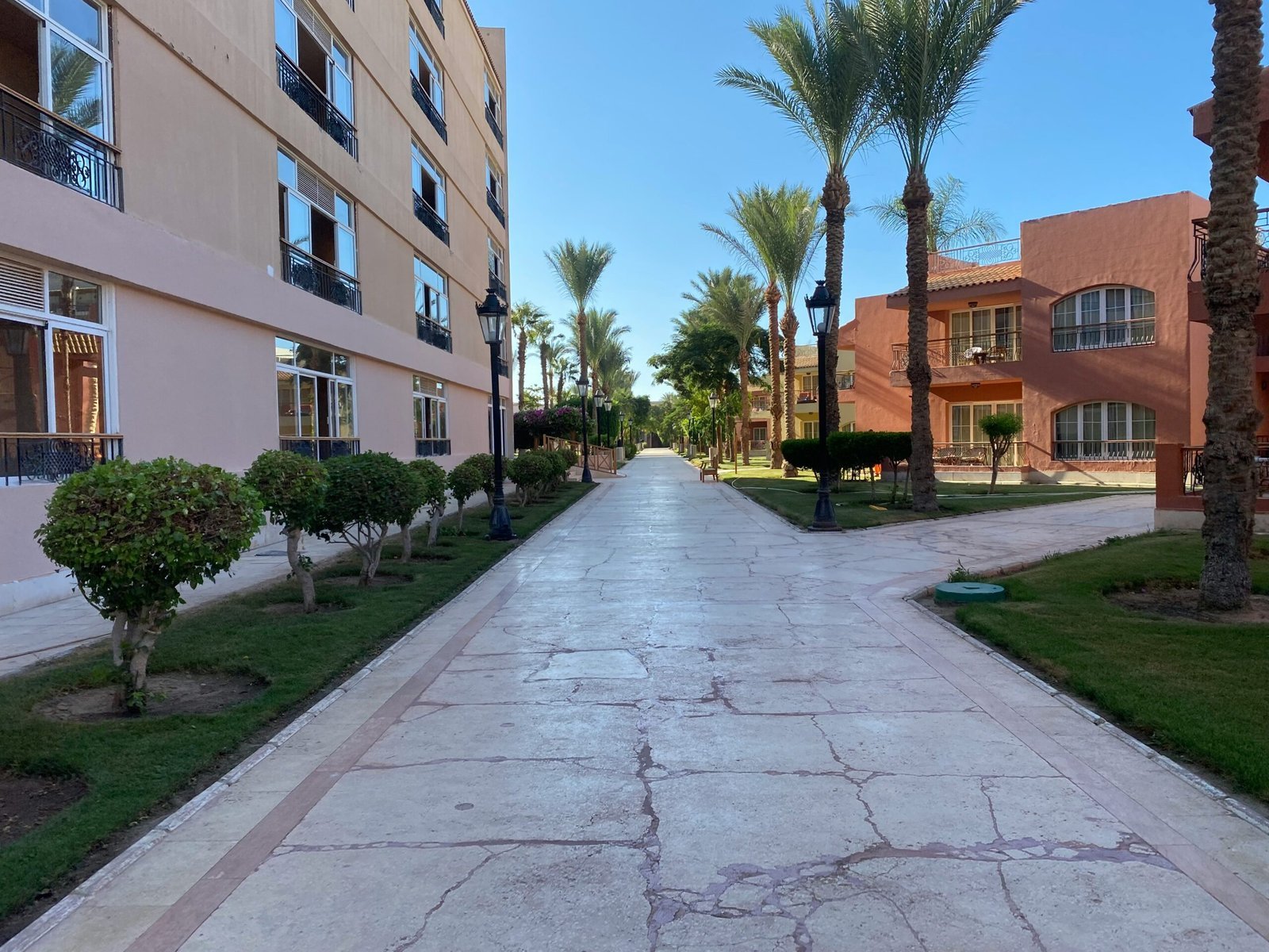 A street lined with palm trees next to a building